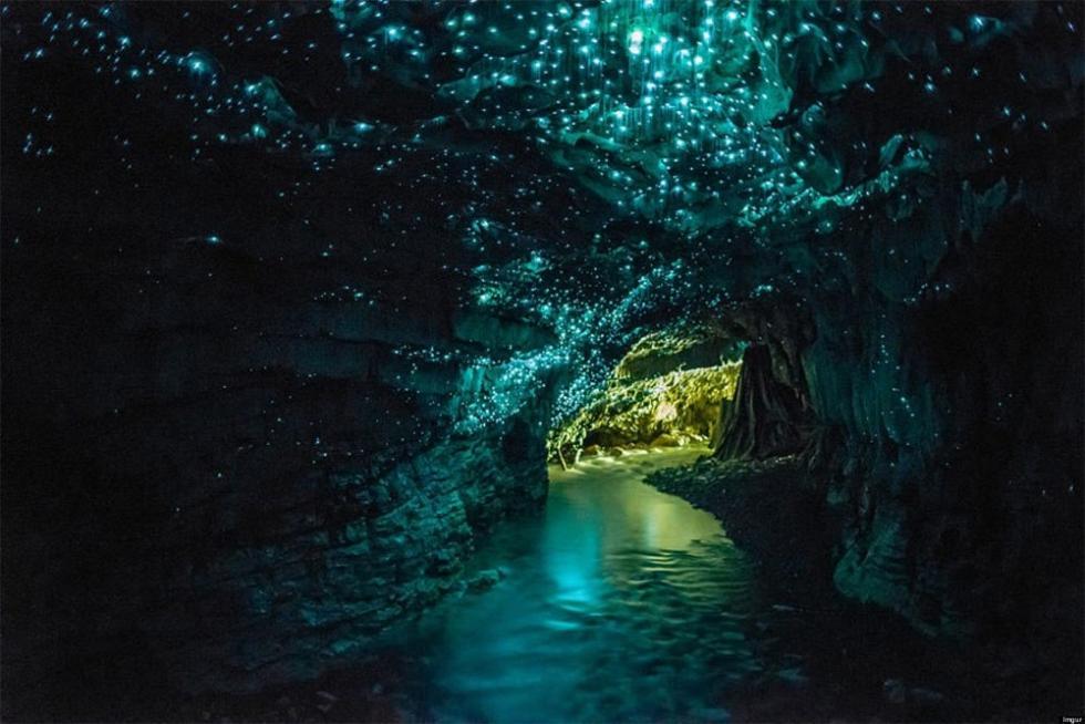 بازدید از غار منحصر به فرد Waitomo در نیوزیلند
