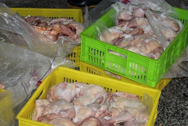 6 تن مرغ فاسد در شهرستان فراهان کشف و توقیف شد