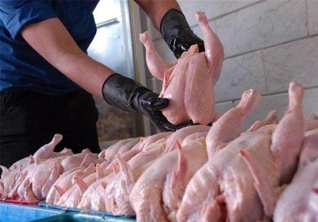 مسائل توزیع مرغ در استان ایلام رفع می گردد