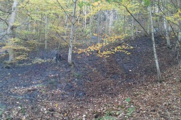 15 هکتار از جنگل های کور شوراب پلدختر در آتش سوخت