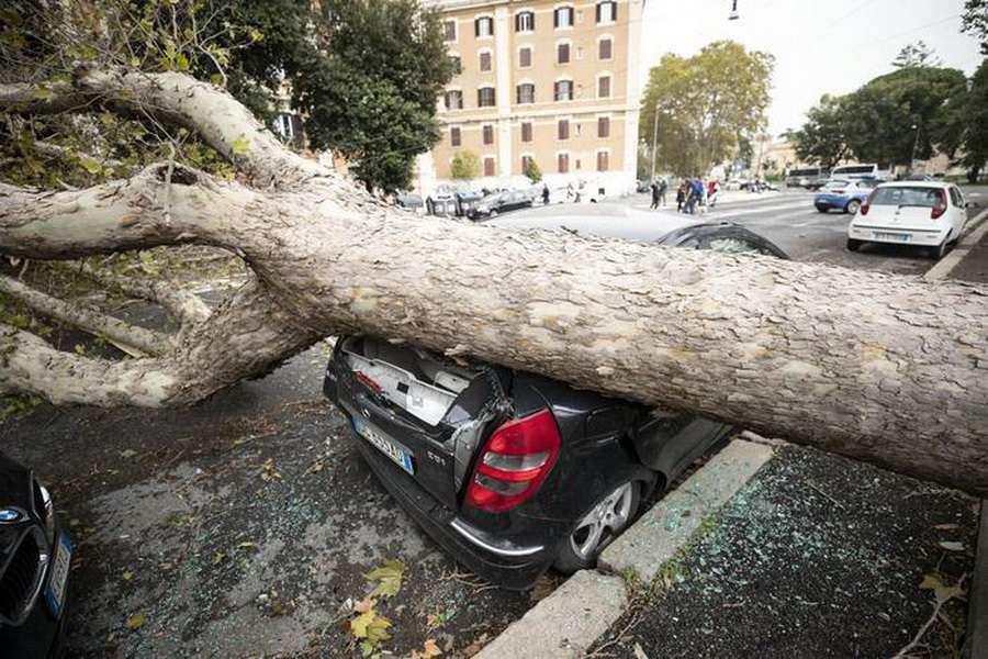 افزایش تلفات قربانیان توفان در ایتالیا به 14 نفر