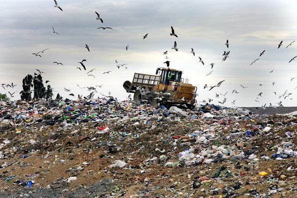 خرج 324 میلیون تومانی کرجی ها برای جمع آوری زباله ها