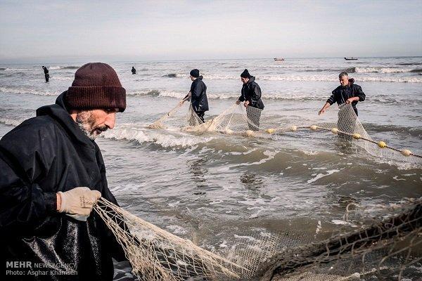 افزایش 20درصدی صید ماهیان استخوانی در رودسر، 200 تن ماهی صید شد