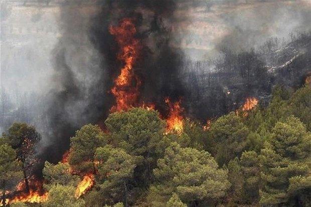 شبکه اعلام حریق در پارک ملی گلستان ایجاد می گردد