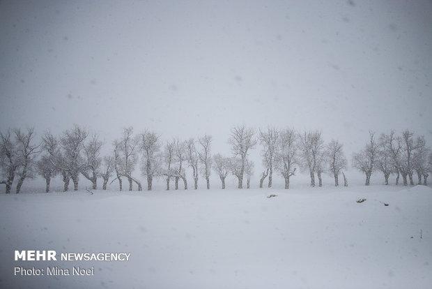 7 نفر از اهالی شهرستان کوهرنگ در برف و کولاک مفقود شدند