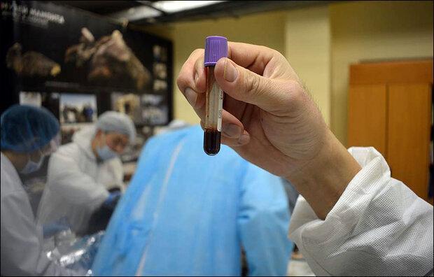 کشف خون مایع در بدن کره اسب 40 هزارساله