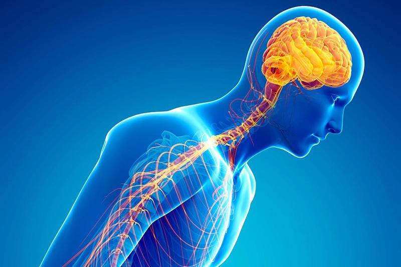 پارکینسون سرانجام راه نیست