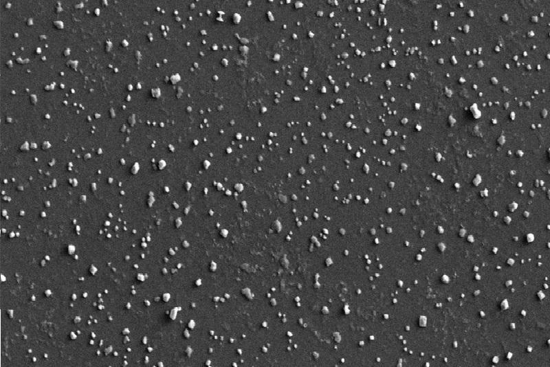 شمارش زیست شناساگرهای سرطانی با استفاده از نانوذرات و SEM