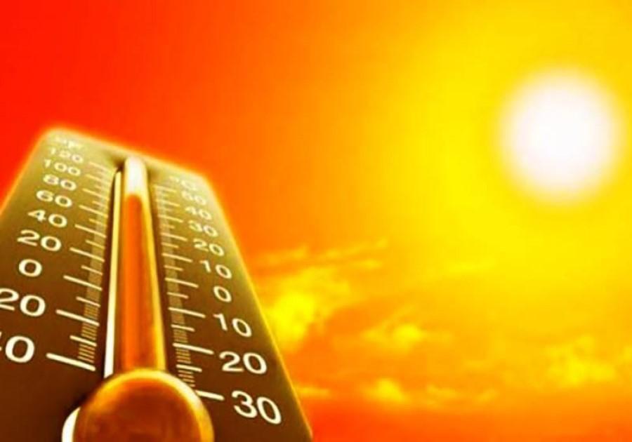 امروز و روز های آینده دما و رطوبت هوا در استان بوشهر بالا است