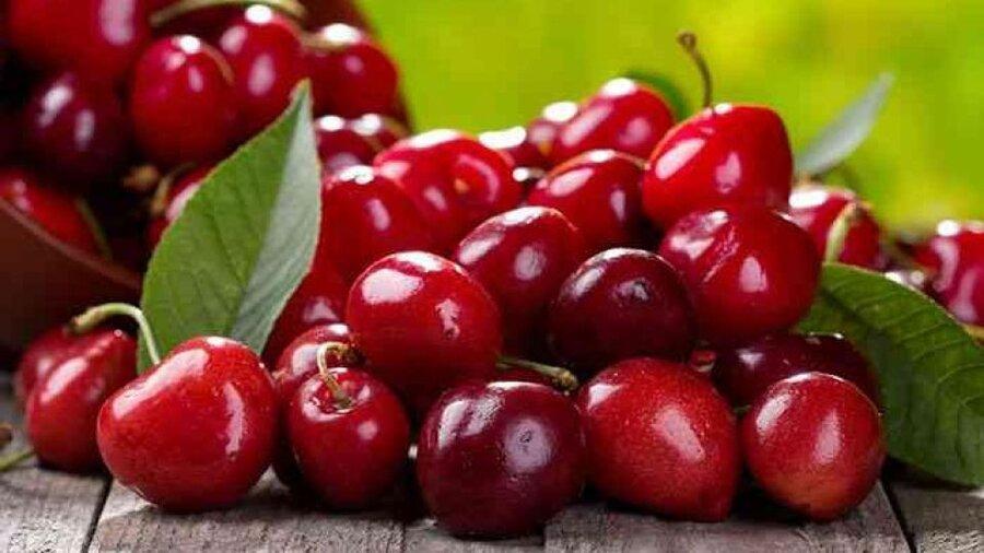 چرا باید گیلاس بخوریم؟