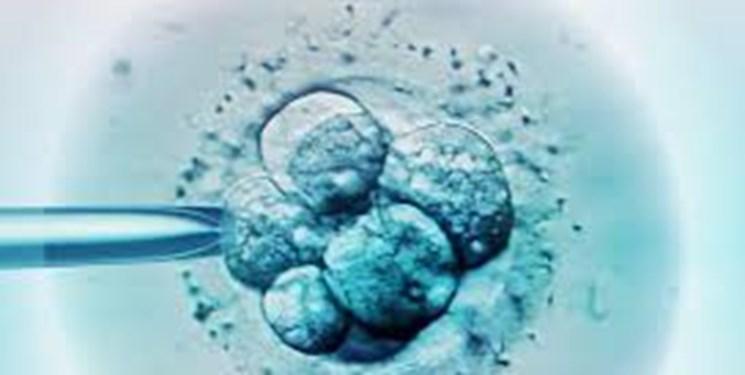 سرطان سینه در کمین زنانی که آی وی اف می نمایند