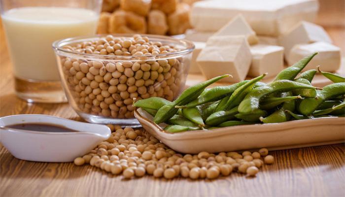 خوردن سویا در بارداری؛ آیا فواید آن به مضراتش می چربد؟