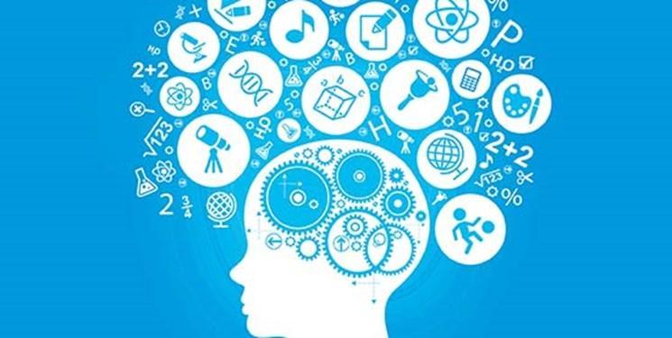 حمایت از استارت آپ ها با برنامه ریزی در چند مدل جدید
