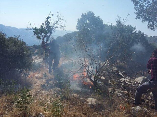 وقوع بیشتر آتش سوزی جنگلهای کردستان در روزهای پایانی هفته