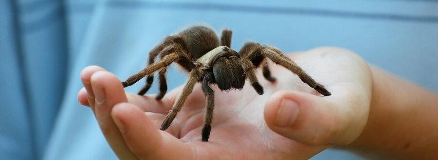 نکته بهداشتی: مواجهه درمانی