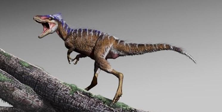 نخستین ردپای دایناسورها در آسیا کشف شد