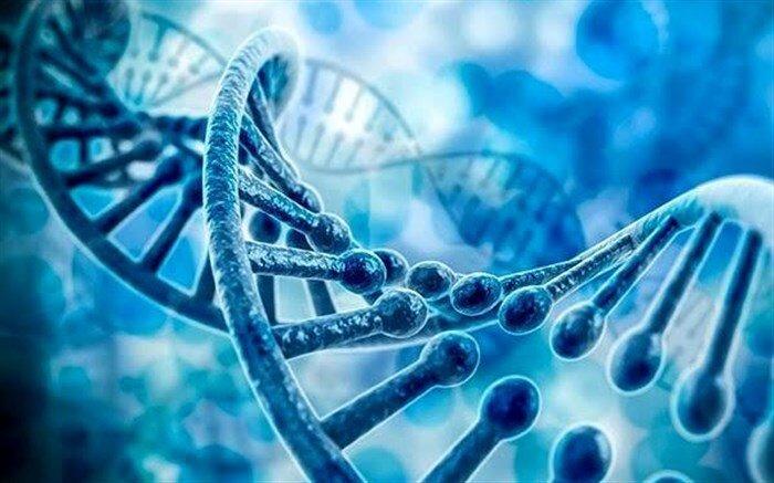 پیوند مغز استخوان بهترین روش درمانی برای مبتلایان MPS است