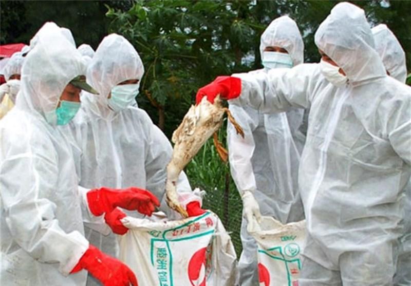 گزارش یک مورد دیگر ابتلا به ویروس جدید آنفلوانزای پرندگان در شرق چین
