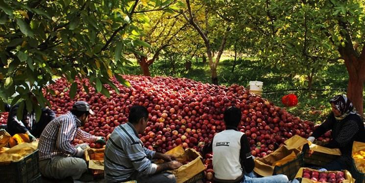 نبود الگوی کشت چالش اصلی پیش روی بازار محصولات کشاورزی