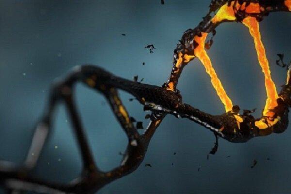 مشخصات ژنتیکی گستره ژنومی جمعیت ایرانی برای اولین بار شناسایی شد