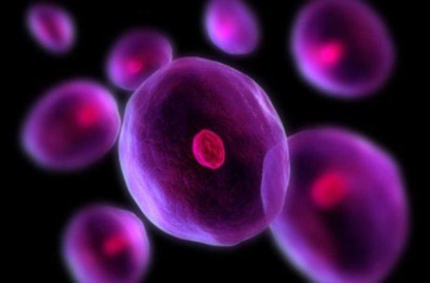 ثبت اطلاعات سلول بنیادی خونساز در شبکه ملی کشور
