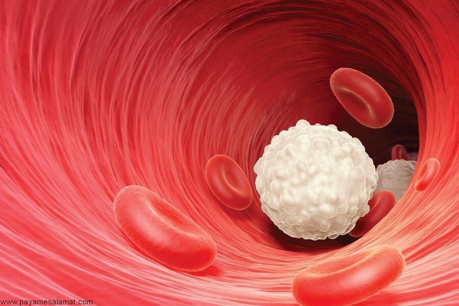استفاده از نانوآمولوسیون ضدسرطان برای تسریع تولید سلول های سفید خون