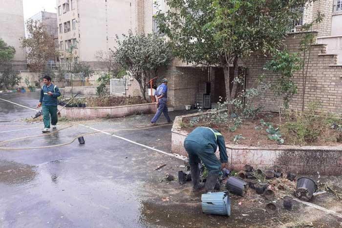 باز پیرایی فضای سبز مرکز نگهداری بچه ها کار یاسر باز پیرایی فضای سبز مرکز نگهداری بچه ها کار یاسر