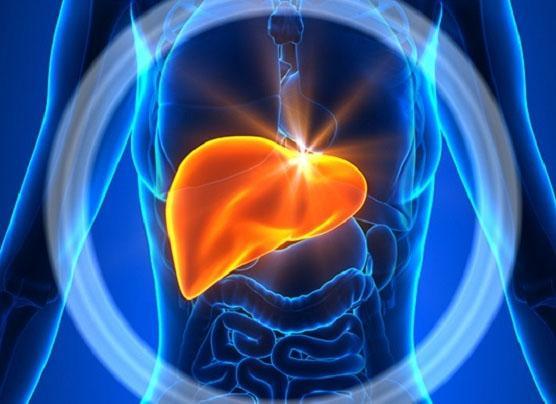 چگونه از شر کبد چرب خلاص شویم؟ چگونه از شر کبد چرب خلاص شویم؟