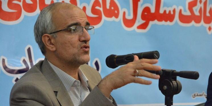 ایران به دنبال صادرات محصولات سلولی ایران به دنبال صادرات محصولات سلولی