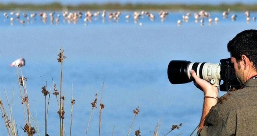 کارگاه آموزشی شناخت پرندگان تهران در روز ملی پرنده نگری