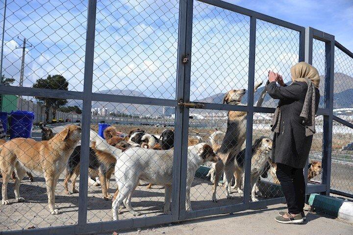 دومین دهکده مهربانی در راه منطقه 22