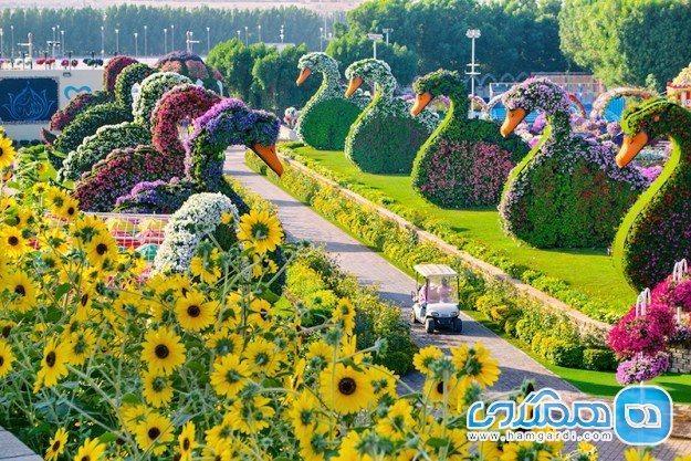 زیبایی را در باغ میراکل از نزدیک لمس کنید