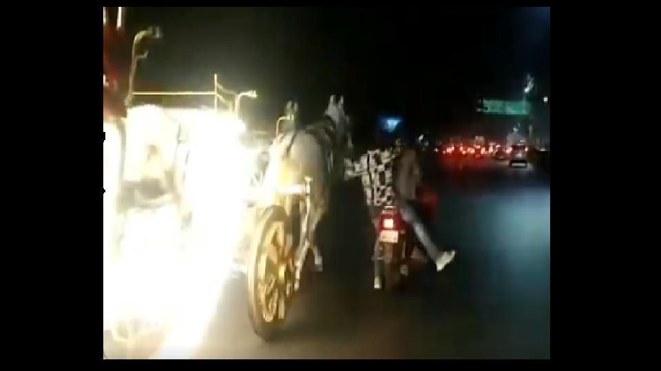 اقدام خطرناک سرنشینان موتورسیکلت برای رام کردن اسب ها! اقدام خطرناک سرنشینان موتورسیکلت برای رام کردن اسب ها!