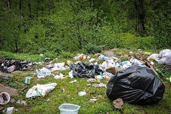 چنان که ماهی در آب...