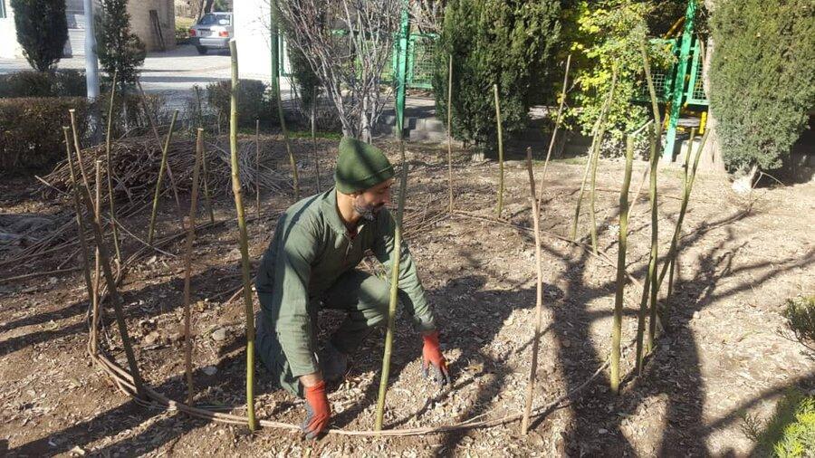 سبدهای گل با شاخه های هرس شده سبدهای گل با شاخه های هرس شده