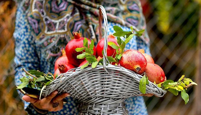 میوه ای که معادل 11 میوه خاصیت دارد!