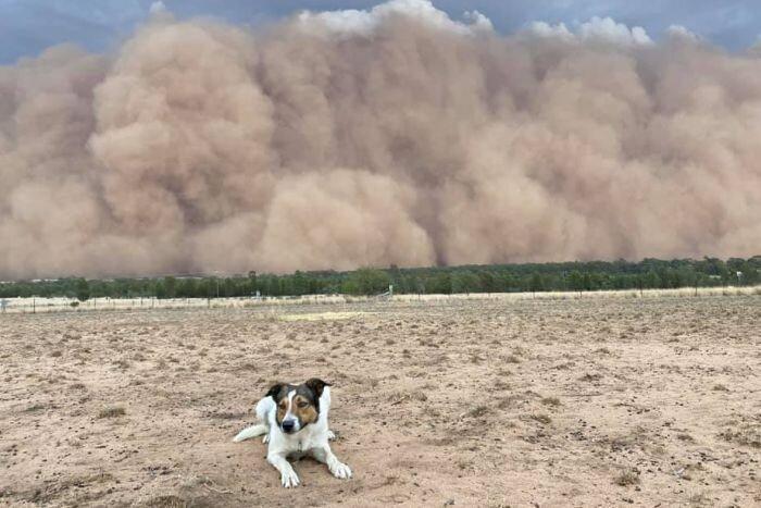 فیلم ، توفان بزرگ غبار جنوب شرق استرالیا را در می نوردد