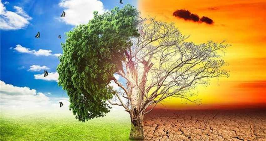 هشدار کارشناسان به پیامدهای تغییرات آب و هوایی علیه امنیت جهان