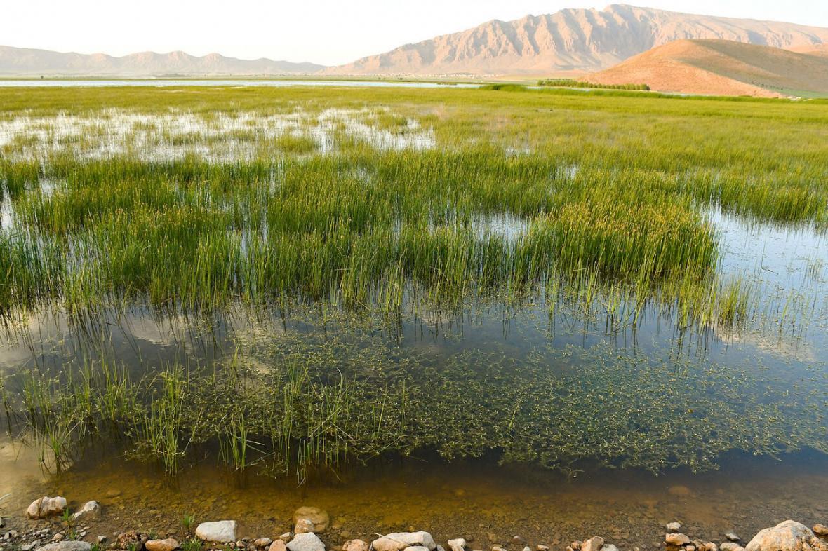 خبرنگاران احیا تالاب های لرستان بر اثر بارندگی های اخیر خبرنگاران احیا تالاب های لرستان بر اثر بارندگی های اخیر