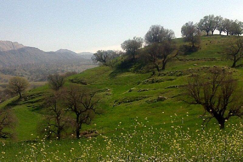 خبرنگاران 30 نفر بر ممنوعیت پذیرش گردشگر در کهگیلویه و بویراحمد خبرنگاران 30 نفر بر ممنوعیت پذیرش جهانگرد در کهگیلویه و بویراحمد نظارت می نمایند