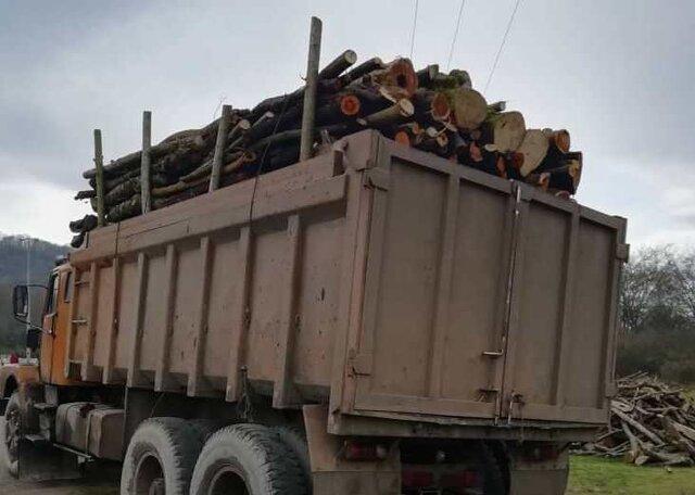 کشف 10 تن چوب جنگلی قاچاق در آستارا
