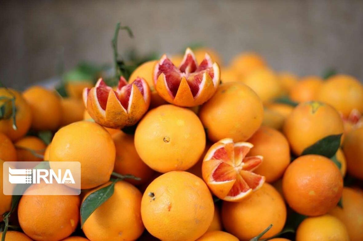 خبرنگاران قیمت میوه تنظیم بازار در یزد کاهش یافت