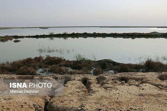 تالاب پیرسلمان روز طبیعت پذیرای هیچ مهمانی نیست تالاب پیرسلمان روز طبیعت پذیرای هیچ مهمانی نیست