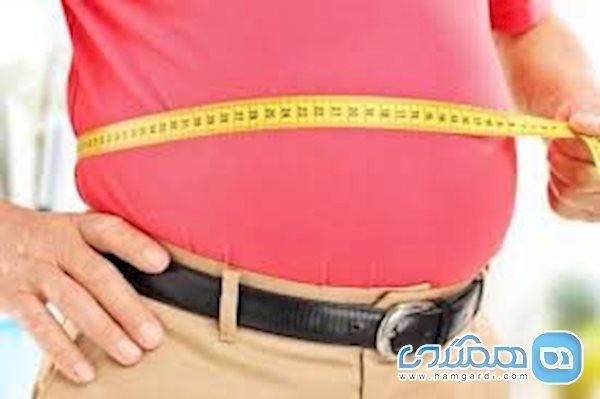 چربی دور شکم منجر به التهاب ناگهانی پانکراس می شود