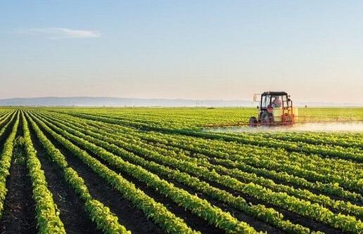 کرونا 3250 میلیون تومان به کشاورزی ایران در اسفند خسارت زد