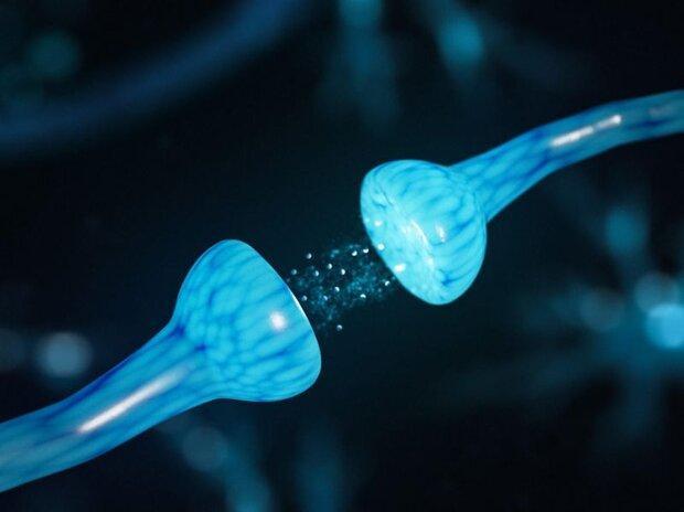 دستگاه های کم مصرفی که همانند مغز انسان کار می نمایند