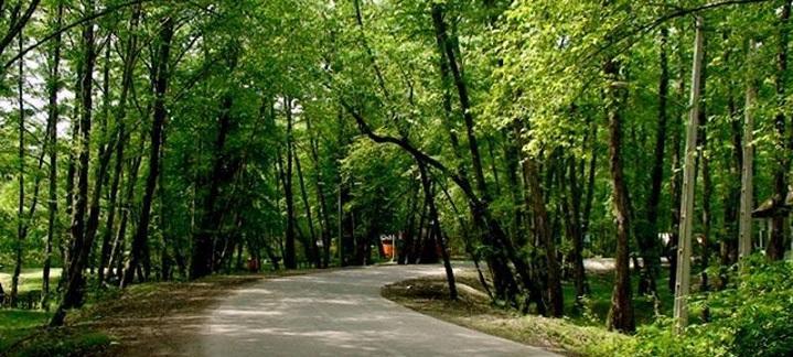 بوستان های جنگلی سرخه حصار و چیتگر تعطیل است