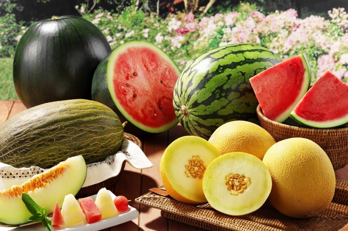بهترین میوه های تابستانی برای لاغری