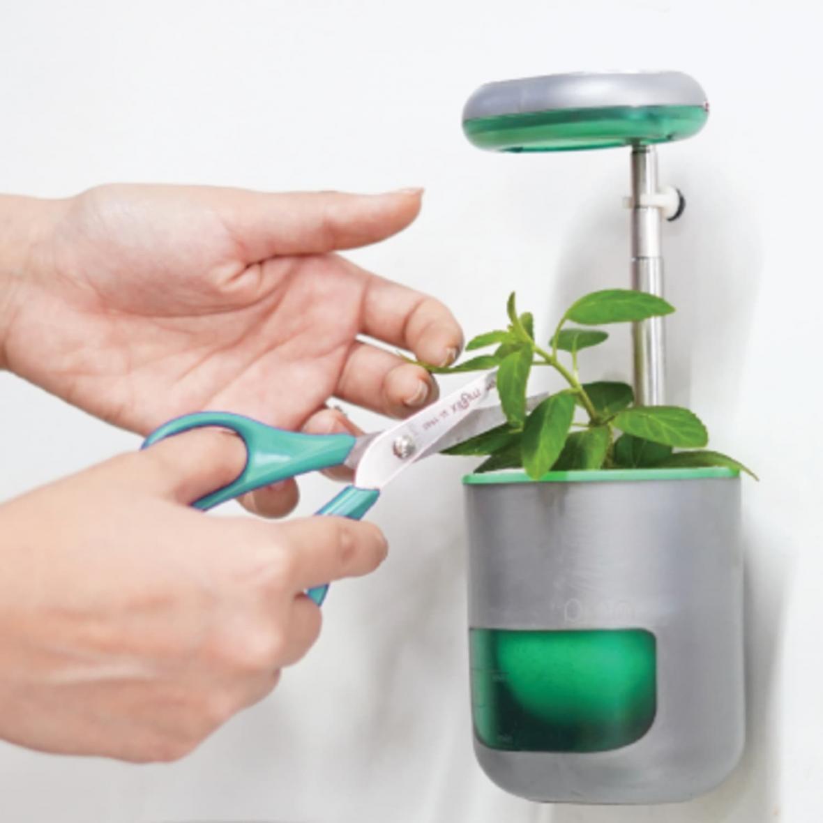 گلدان پیکو با سنسوری هوشمند