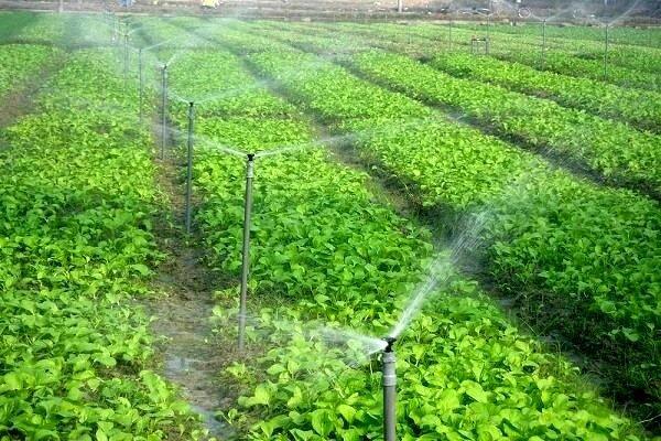 بهره برداری از 6 طرح کشاورزی در شهربابک بهره برداری از 6 طرح کشاورزی در شهربابک